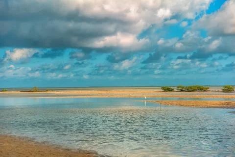 The sky with clouds reflected in the waters of the estuary. Stock Photos