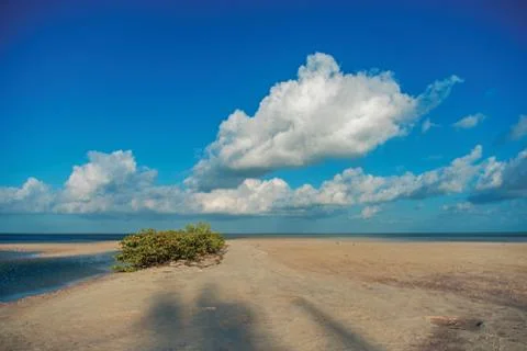 The sky with clouds reflected in the waters of the estuary. Stock Photos