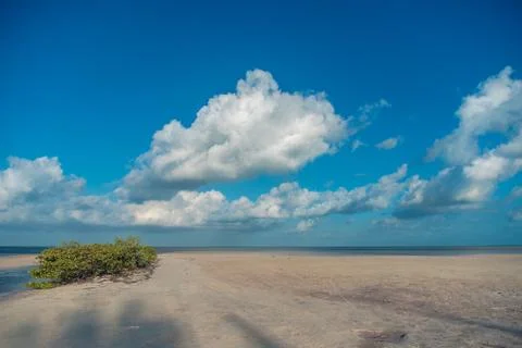 The sky with clouds reflected in the waters of the estuary. Stock Photos