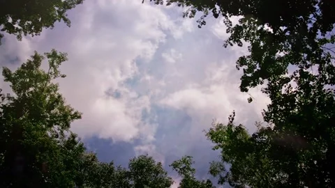 Sky Clouds in Summer Forest Stock Footage 90640412