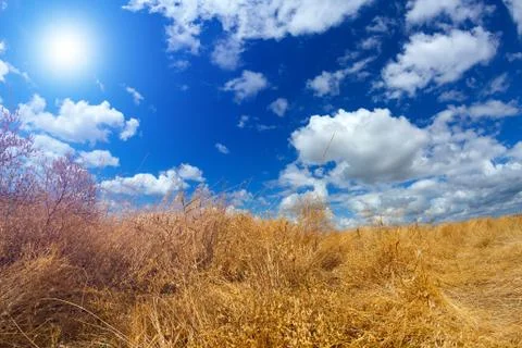 Sky clouds sun dry grass Foto stock