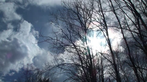 Sky, clouds Time and threes lapse 動画素材 24574844