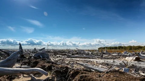 Sky, clouds, tree branches Stock Footage 107524078