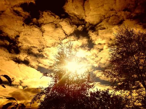 Sky Clouds Trees 1 Stock Photos