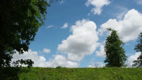 Sky with clouds, trees in motion, green grass, tranquil scene Stock Footage 154399765