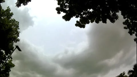 Sky, clouds, trees, time lapse Видео 335860273