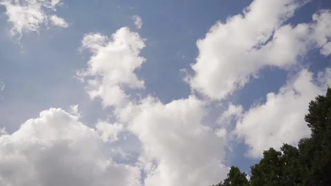 Sky with clouds. Treetops are also visible Stock Footage 147316159