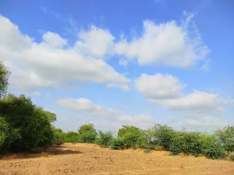 Sky Clouds Weather Background With Tree Stock Photos