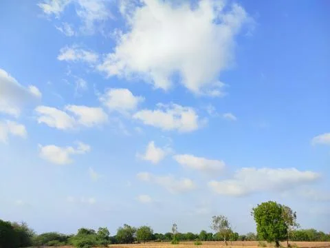 Sky Clouds Weather Background With Tree Stock Photos