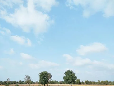 Sky Clouds Weather Background With Tree Stock Photos