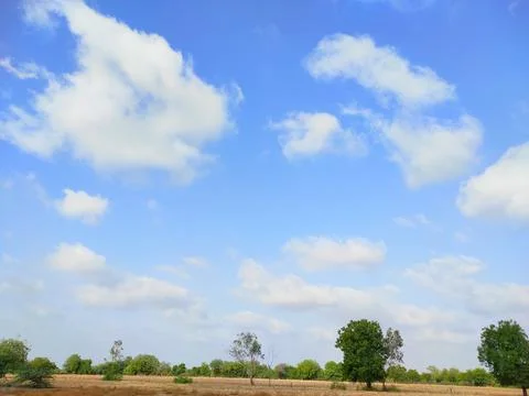 Sky Clouds Weather Background With Tree Stock Photos