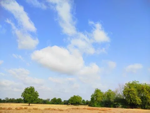 Sky Clouds Weather Background With Tree Stock Photos