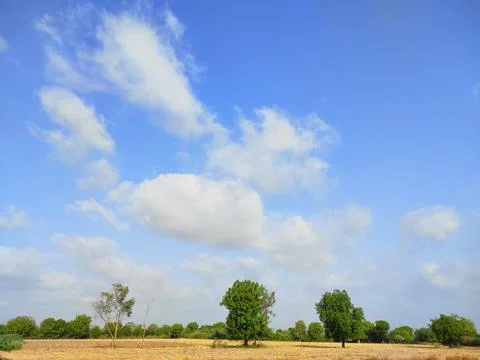 Sky Clouds Weather Background With Tree Stock Photos