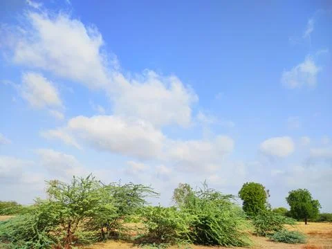 Sky Clouds Weather Background With Tree Stock Photos