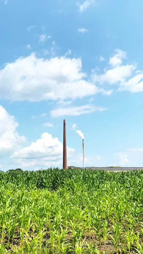 Sky, cloudscape, cloudy, weather, clouds, nature, storm, dark, blue Stock Footage 280336024