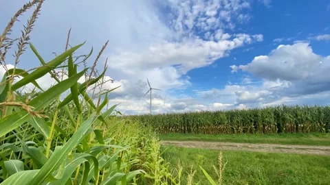 Sky, cloudscape, cloudy, weather, clouds, nature, storm, dark, blue Stock Footage 284445246