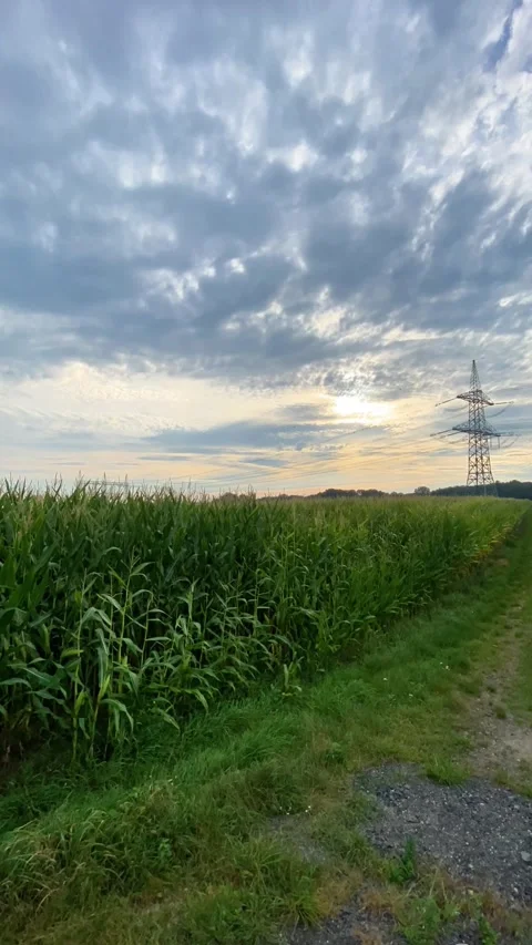 Sky, cloudscape, cloudy, weather, clouds, nature, storm, dark, blue Stock Footage 284445421