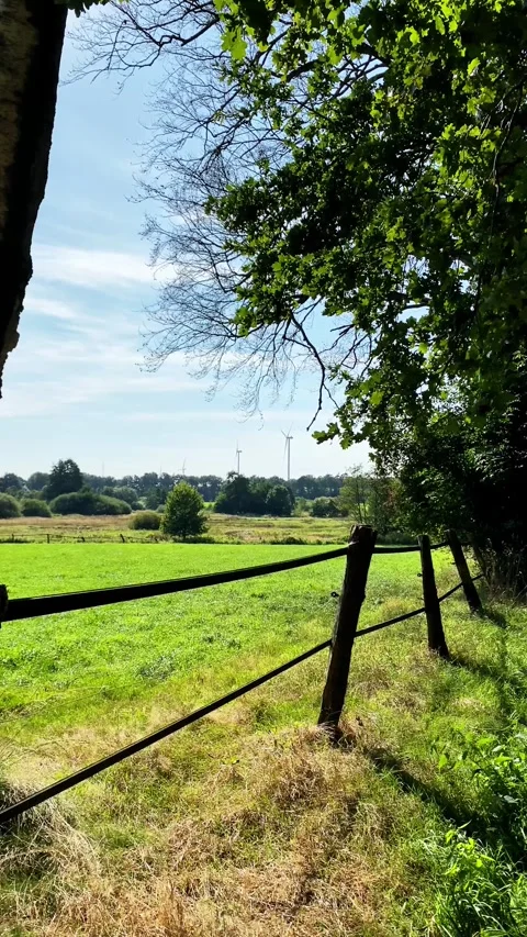Sky, cloudscape, cloudy, weather, clouds, nature, storm, dark, blue Stock Footage 284447059