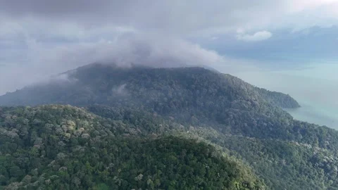 The sky is cloudy and the mountains are covered in trees Video stock 332190492