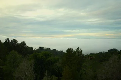 The sky is cloudy and the trees are green Stock Photos