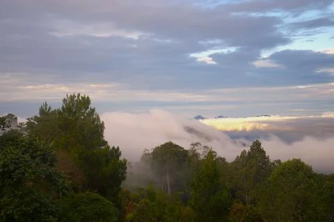 The sky is cloudy and the trees are covered in mist Stock Photos