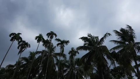 The sky is cloudy before the rain. Stock Footage 341486715