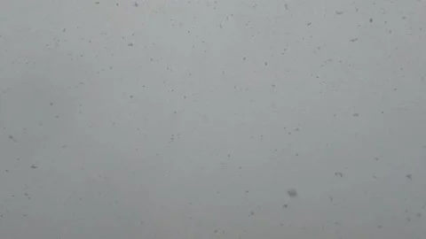 The sky is covered with gray clouds from which thick snow is falling. Stock Footage 196161791