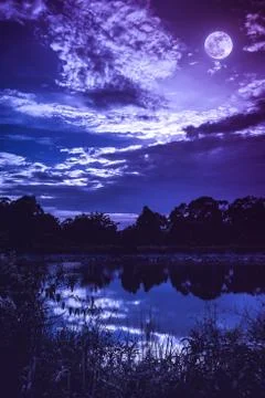 Sky with dark cloudy and full moon above silhouettes of trees and tranquil la Stock Photos