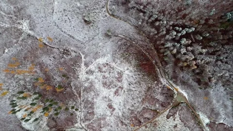From the sky, a dark road winds through a white canvas of snow-covered fore.. Stock Footage 257889755