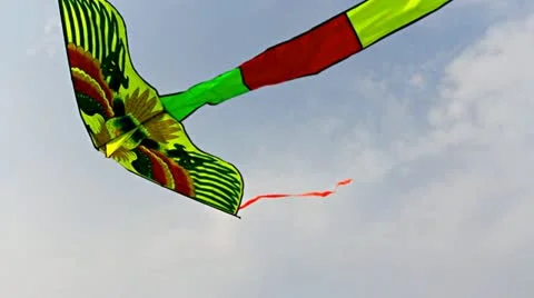 Sky dragon Stock Footage 11527896