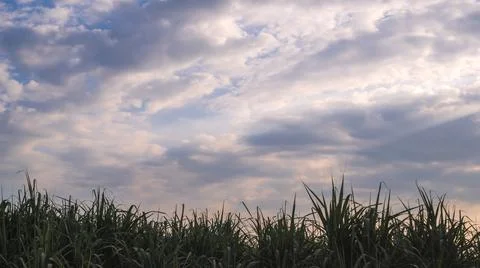 The sky at dusk, there is light in the clouds, with the grassland in front. Foto stock