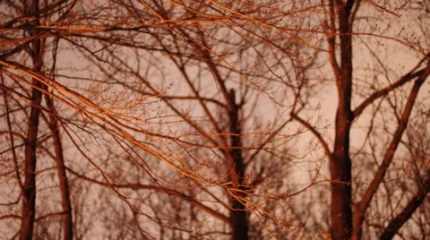 Sky Fire Stock Footage 912632