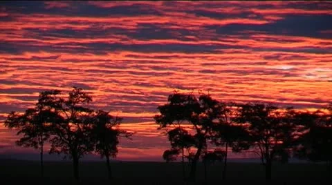 Sky on fire at sunrise Stock Footage 12557106