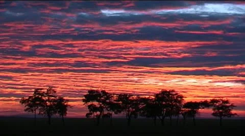 Sky on fire at sunrise Stock Footage 12557631