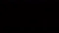 sky flashes with joshua tree silhouette Video HD