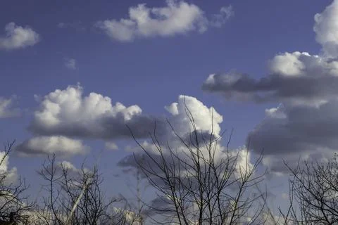 Sky with fluffy clouds and leafless branches Stock Photos
