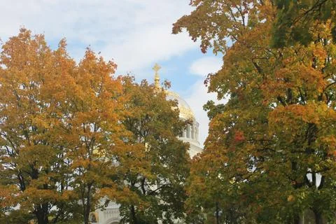 Sky Foliage Stock Photos