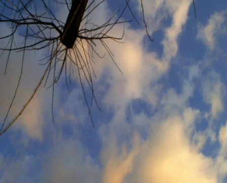 Sky Vídeo Stock 357800