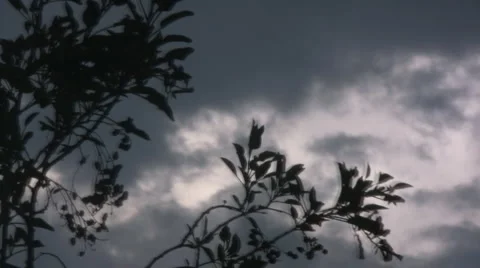 Sky Stock-Footage 2885402