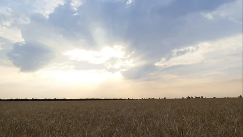 Sky Stock Footage 92058564