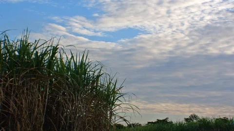 Sky Stock Footage 115563079