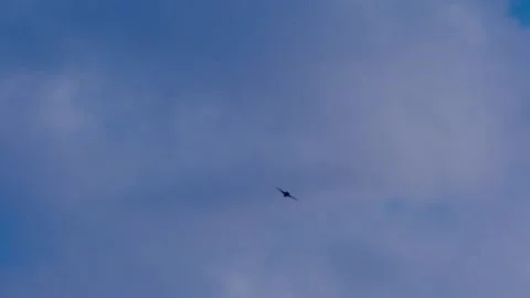 Sky Stock Footage 131207341