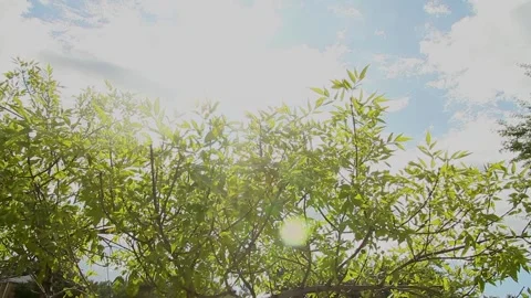 SKY UP 動画素材 194133055