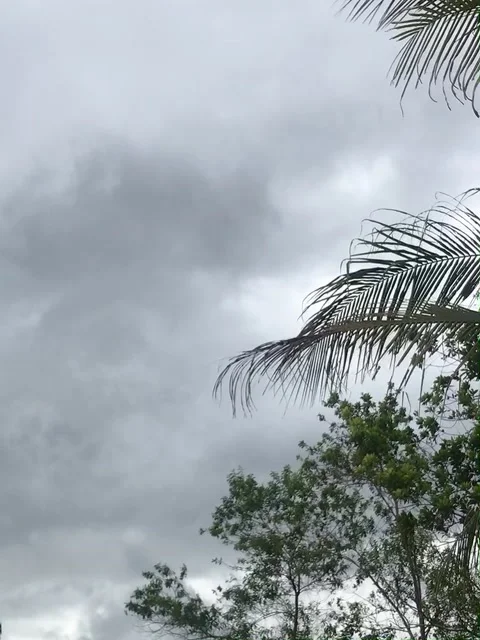 Sky Stock Footage 210022210