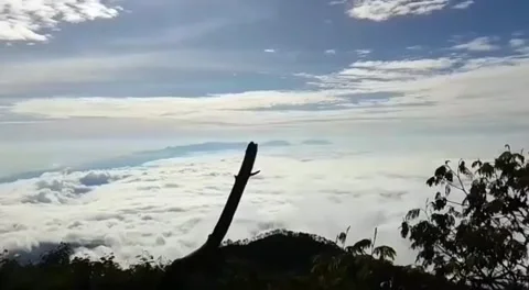 Up of the sky Stock Footage 217378663