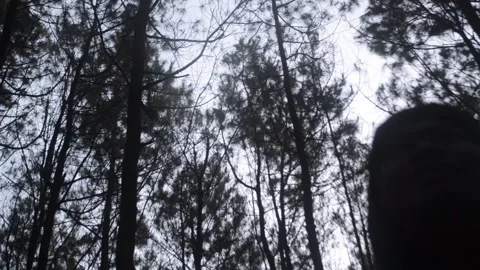 Sky Stock Footage 276672495