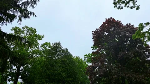 Onto the Sky Video stock 335852888