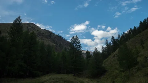 Sky, forest and mountains Stock Footage 163373913