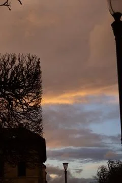 ??The sky full of clouds after the rain and the trees Stock Photos