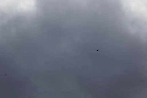 ??The sky full of clouds and the trees Stock Photos